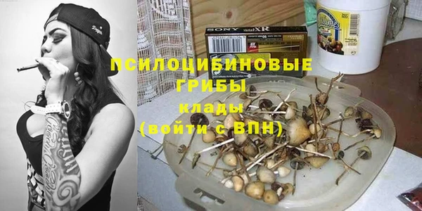 прущий лед Козельск