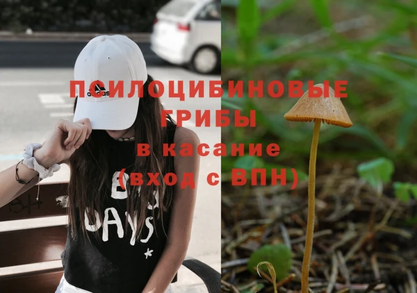 прущий лед Козельск