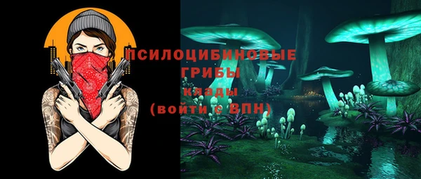 прущий лед Козельск